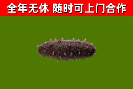 长治回收海参干